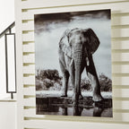 Glinyard - Noir / Blanc - Art mural
