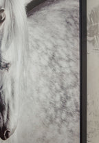 Archerwick - Noir / Blanc - Décoration murale